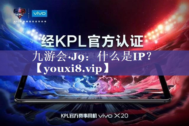 什么是IP？