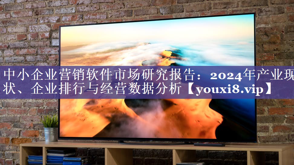 中小企业营销软​​件市场研究报告：2024年产业现状、企业排行与经营数据分析